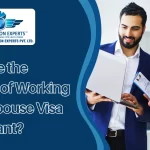 What-Are-the-Benefits-of-Working-with-a-Spouse-Visa-Consultant