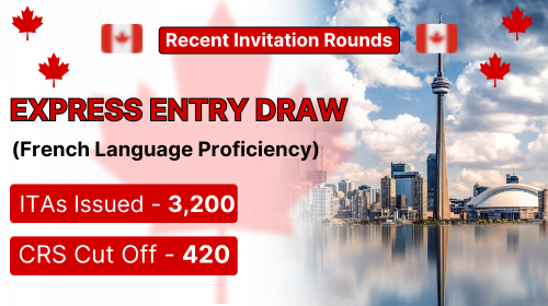 French language proficiency